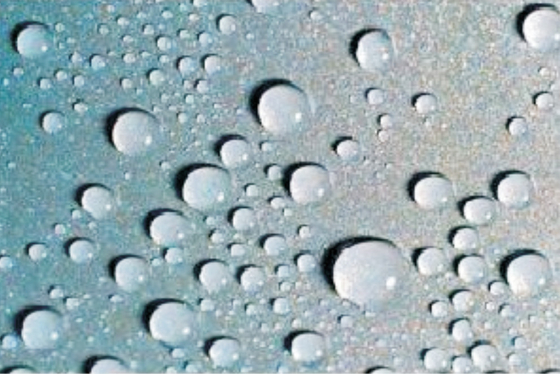 ফিনিক্স ক্লিন ১৫৮ হাইড্রোফোবিক ডিগ্রেসিং ওয়াকস অপসারণ এজেন্ট