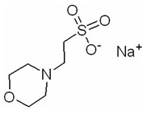 CAS 71119-23-8 MES-NA 2-(N-Morpholino) ইথানেসালফোনিক অ্যাসিড সোডিয়াম লবণ